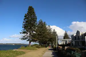 2025-07-21 Cpt. Cook Brdg. Walk - IMG_3832_compressed_q80.webp